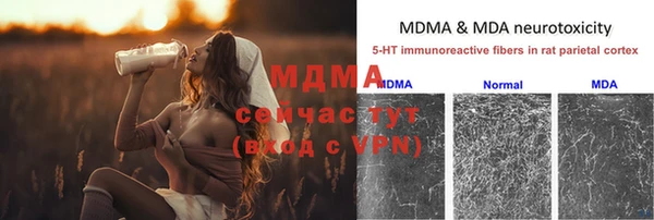 ПСИЛОЦИБИНОВЫЕ ГРИБЫ Баксан