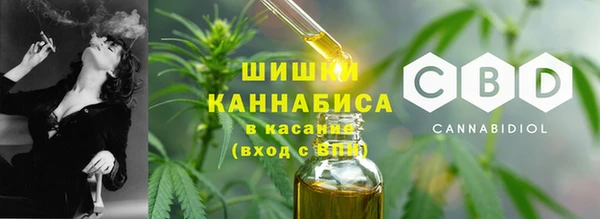 ПСИЛОЦИБИНОВЫЕ ГРИБЫ Баксан