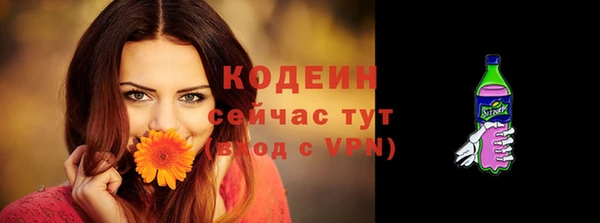 индика Белокуриха