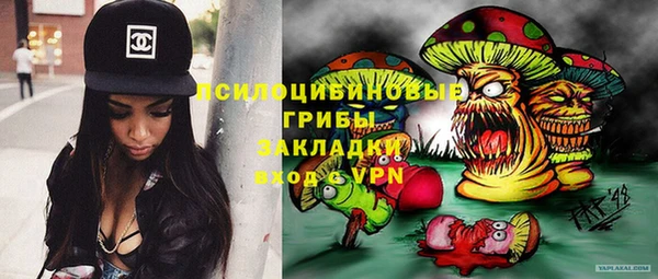 дживик Беломорск