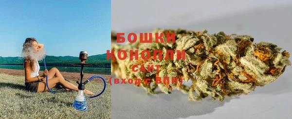 PSILOCYBIN Балабаново