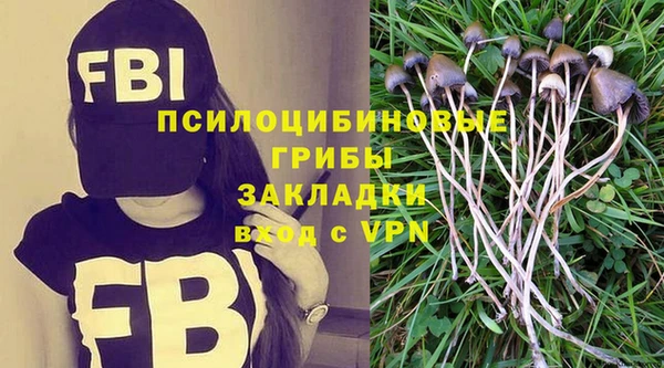 ПСИЛОЦИБИНОВЫЕ ГРИБЫ Баксан