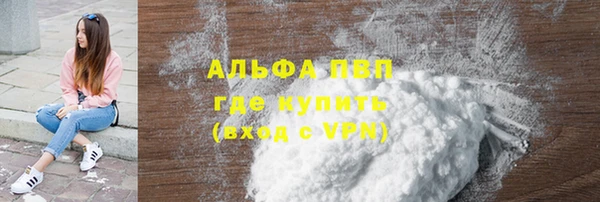 индика Белокуриха