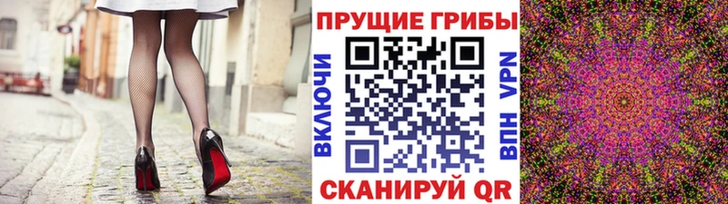 Псилоцибиновые грибы Cubensis  Нарткала 